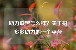 助力联盟怎么样?关于拼多多助力的一个平台