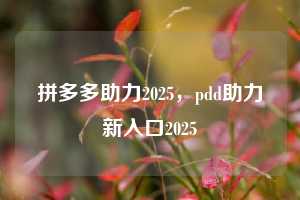 拼多多助力2025,pdd助力新入口2025