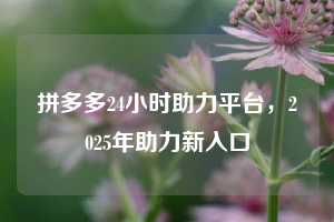 拼多多24小时助力平台，2025年助力新入口