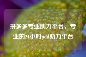 拼多多专业助力平台，专业的24小时pdd助力平台