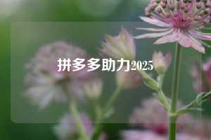 拼多多助力2025