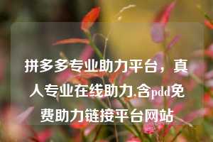 拼多多专业助力平台,真人专业在线助力,含pdd免费助力链接平台网站