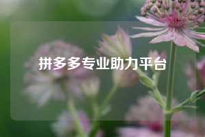 拼多多专业助力平台