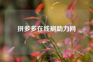 拼多多在线刷助力网