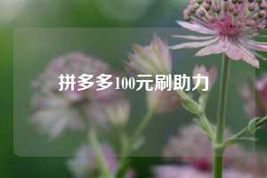 拼多多100元刷助力