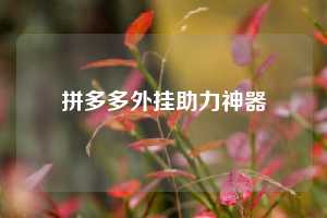 拼多多外挂助力神器