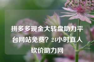 拼多多现金大转盘助力平台网站免费?24小时真人砍价助力网