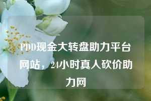 PDD现金大转盘助力平台网站,24小时真人砍价助力网