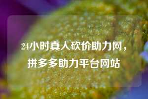 24小时真人砍价助力网,拼多多助力平台网站