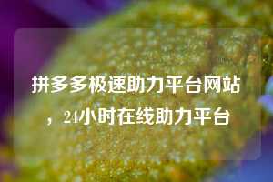 拼多多极速助力平台网站，24小时在线助力平台