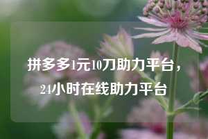 拼多多1元10刀助力平台,24小时在线助力平台