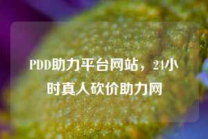 PDD助力平台网站,24小时真人砍价助力网
