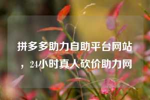 拼多多助力自助平台网站，24小时真人砍价助力网