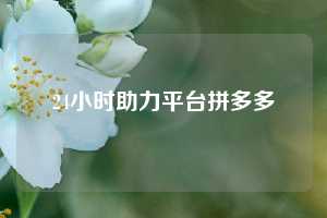 24小时助力平台拼多多
