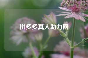 拼多多真人助力网