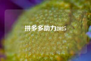 拼多多助力2025