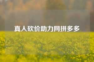 真人砍价助力网拼多多