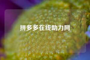 拼多多在线助力网