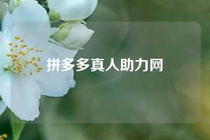拼多多真人助力网