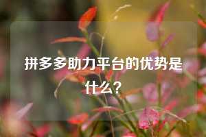 拼多多助力平台的优势是什么？