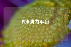 PDD助力平台
