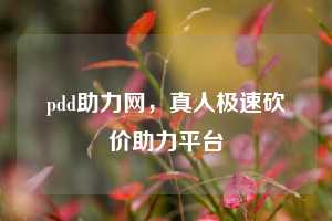 pdd助力网,真人极速砍价助力平台