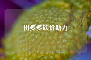 拼多多砍价助力