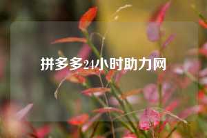 拼多多24小时助力网