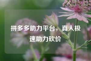 拼多多助力平台，真人极速助力砍价