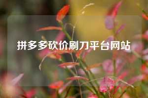 拼多多砍价刷刀平台网站