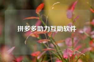 拼多多助力互助软件