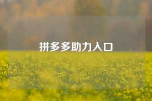 拼多多助力入口