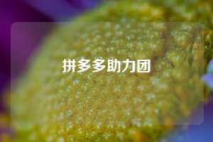 拼多多助力团