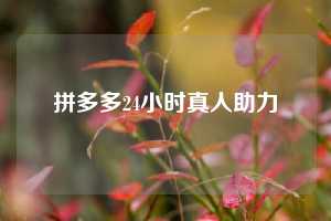 拼多多24小时真人助力