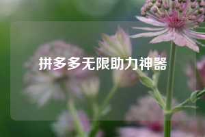 拼多多无限助力神器