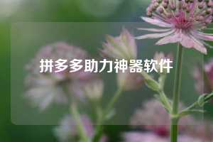 拼多多助力神器软件