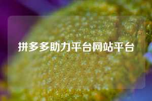 拼多多助力平台网站平台