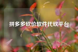 拼多多砍价软件代砍平台