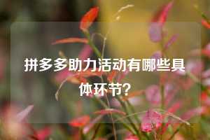 拼多多助力活动有哪些具体环节?