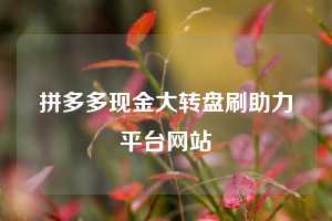 拼多多现金大转盘刷助力平台网站