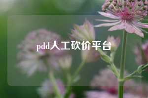 pdd人工砍价平台