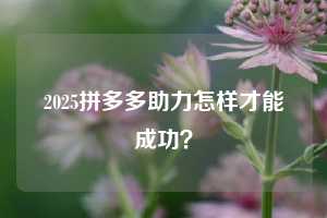 2025拼多多助力怎样才能成功？