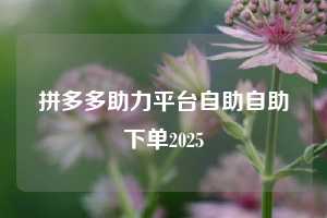 拼多多助力平台自助自助下单2025