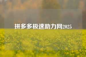 拼多多极速助力网2025