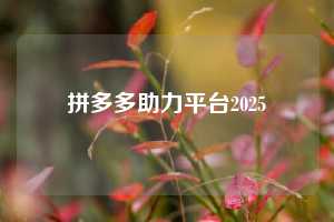 拼多多助力平台2025