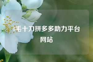1毛十刀拼多多助力平台网站