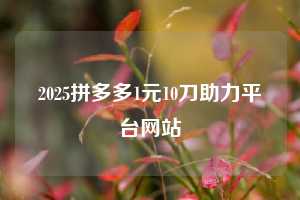 2025拼多多1元10刀助力平台网站