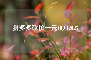 拼多多砍价一元10刀2025