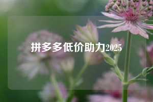 拼多多低价助力2025