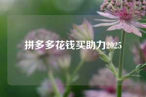 拼多多花钱买助力2025